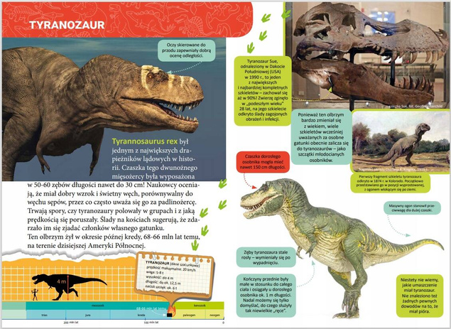 Mała Encyklopedia Dinozaury Fakty Ciekawostki Zofia Zabrzeska 5+ Skrzat