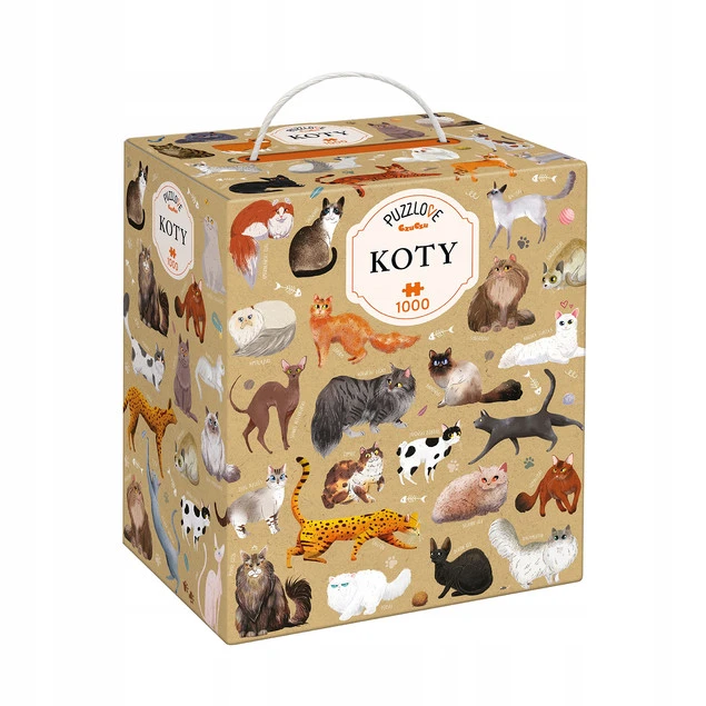 Koty 1000