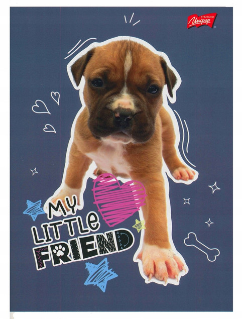 My Little Friend zeszyt A5 32 kartki