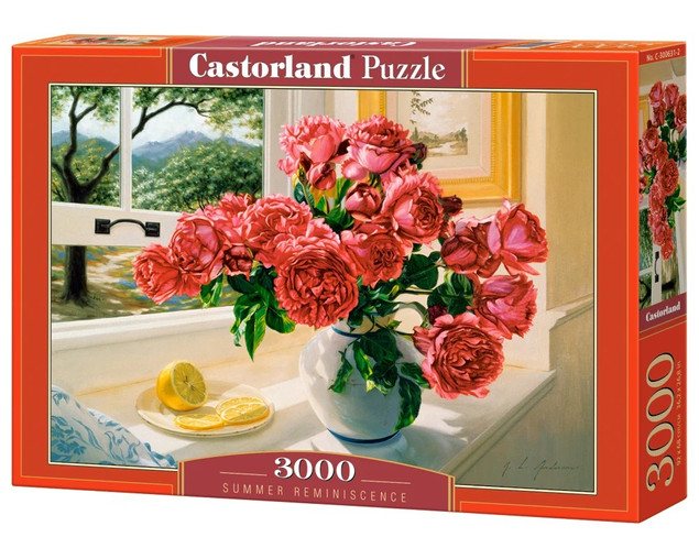 Puzzle 3000 Summer Reminiscence