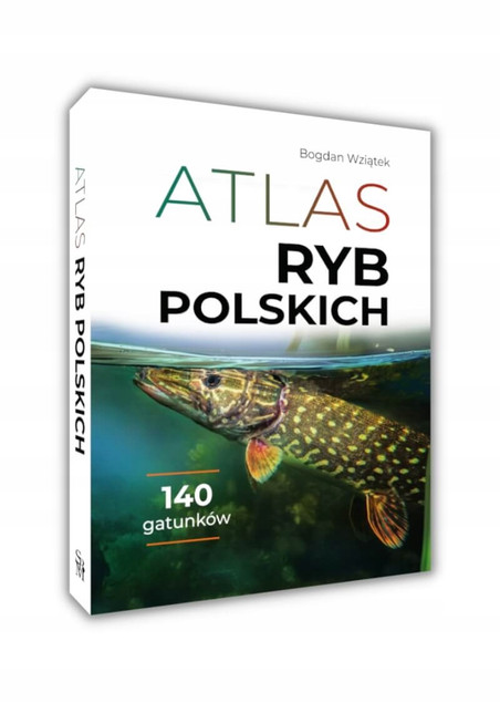 Atlas RYB POLSKICH 140 Gatunków Polska Ichtiofauna Opisy i Fotografie SBM