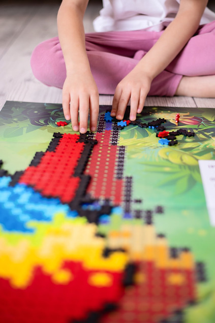 KLOCKI KONSTRUKCYJNE MELI MINIS BIRDS 2W1 Puzzle Mozaika 500 el. PAPUGA PTAK