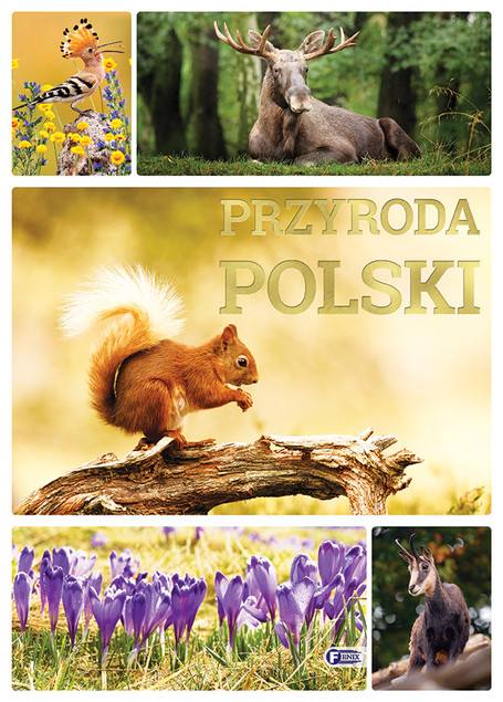 Przyroda Polski Praca zbiorowa