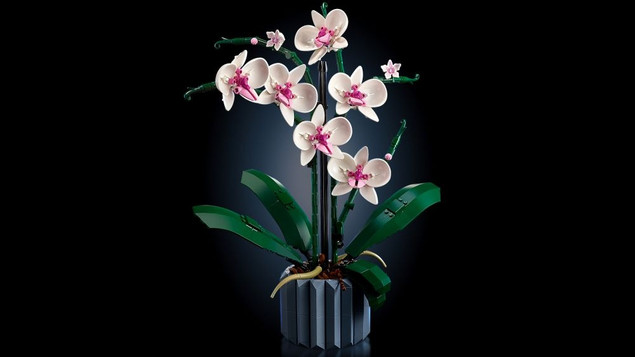 Lego ICONS Orchidea 10311 