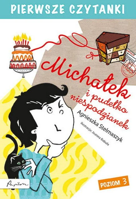 Pierwsze czytanki. Michałek i pudełko niespodzianek Agnieszka Stelmaszyk