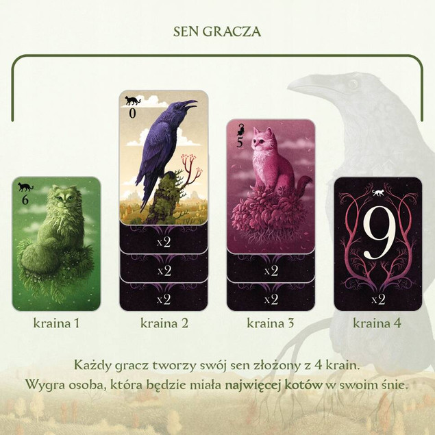 Koty Gra Karciana Tworzenie Snów Krainy 10+ Nasza Księgarnia