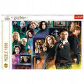 Puzzle 1000 Harry Potter: Świat Czarodziejów Trefl