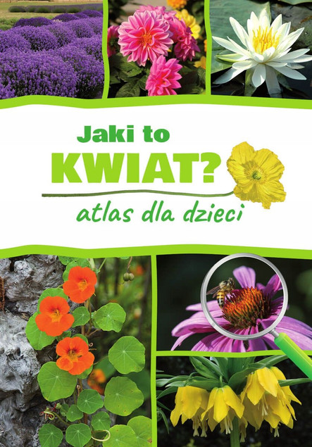Jaki to kwiat? Atlas dla dzieci Agnieszka Gawłowska, SBM