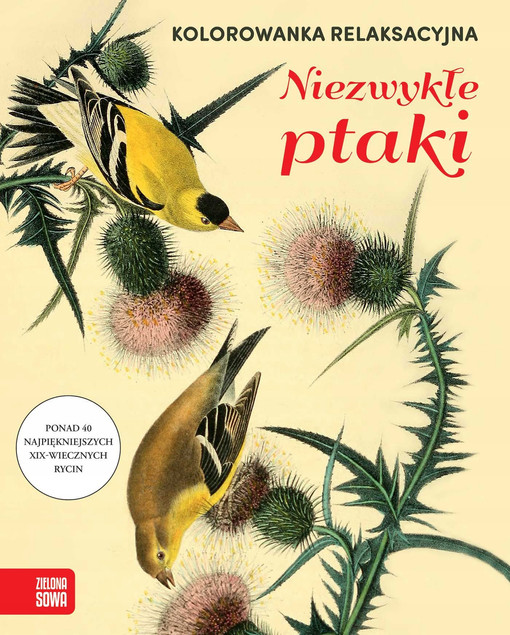 Niezwykłe Ptaki. Kolorowanka Relaksacyjna Antystresowa