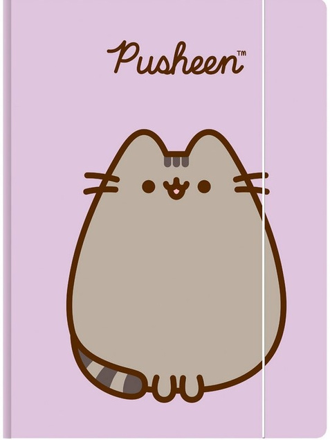 TECZKA Z GUMKĄ A4 300 g/m2 KOT PUSHEEN