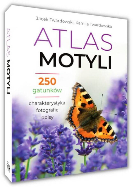 Atlas Motyli 250 GATUNKÓW Fotografie Opisy Jacek Twardowski TW SBM