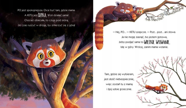 Pandki, które obiecały – Jim Field, Rachel Bright