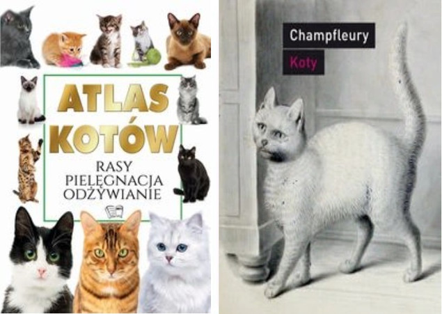 Atlas kotów rasy pielęgnacja odżywianie Praca zbiorowa