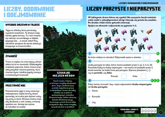 Minecraft Matematyka Megazadania 8+