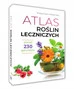 Atlas roślin leczniczych