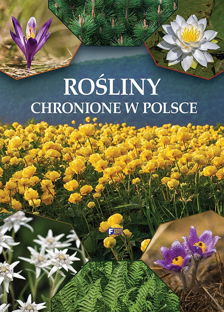 Rośliny chronione w Polsce Praca zbiorowa