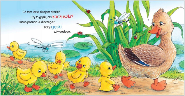 Kaczka Kwa Kwa Wiesław Drabik Bajki i Wierszyki 1+ Skrzat