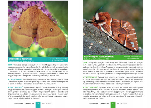 Kieszonkowy Atlas MOTYLI 180 Gatunków Jacek Twardowski SBM