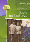 Ziele na kraterze lektury z opracowaniem Greg