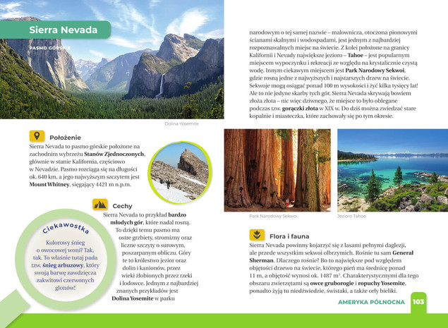 Jakie To Góry? Atlas Encyklopedia Dla Dzieci Monika Płóciennik SBM