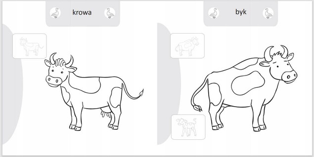 Malowanie-doklejanie. Zwierzęta na wsi