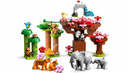 LEGO Duplo Dzikie zwierzęta Azji 10974