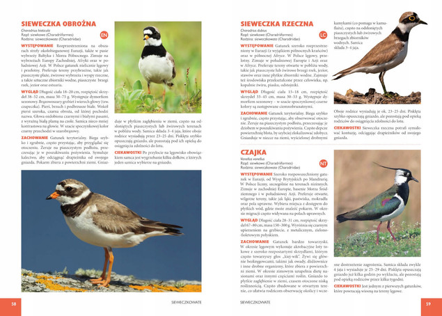 Atlas Ptaków 250 Gatunków Żyjących w Polsce Jan Król SBM