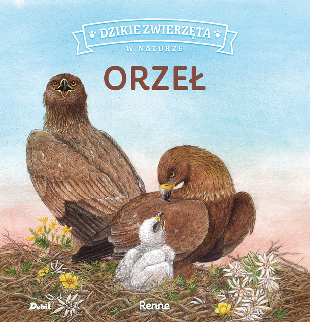 Dzikie zwierzęta w naturze Orzeł Praca zbiorowa