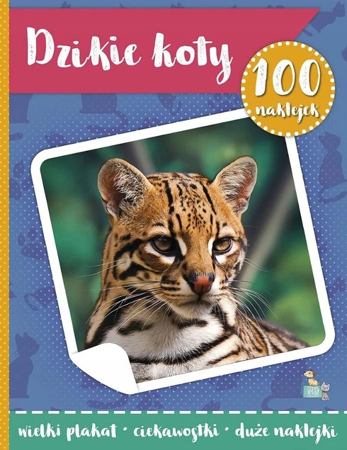 100 naklejek z plakatem. Dzikie koty Małgorzata Ewa Skibińska