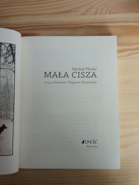 Mała cisza Michał Płoski