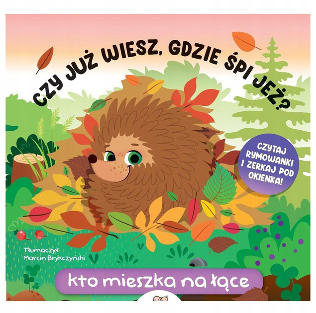 Czy już wiesz, gdzie śpi jeż? Kto mieszka na łące Fiona Huisman
