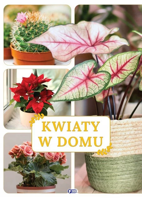 Kwiaty w domu Praca zbiorowa - okładka