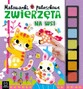 Kształty