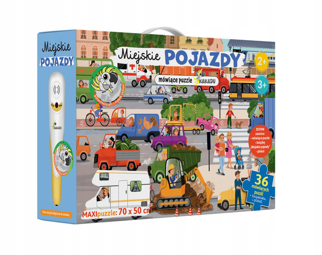Miejskie pojazdy Magdalena Młodnicka