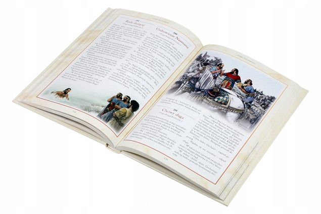 Biblia na każdy dzień 365 historii ze Starego i Nowego Testamentu Praca zbiorowa
