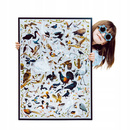 Puzzle 100 Układanka PuzzLove PTAKI Polskie Ptaszki Gatunki Obraz 5+ CzuCzu