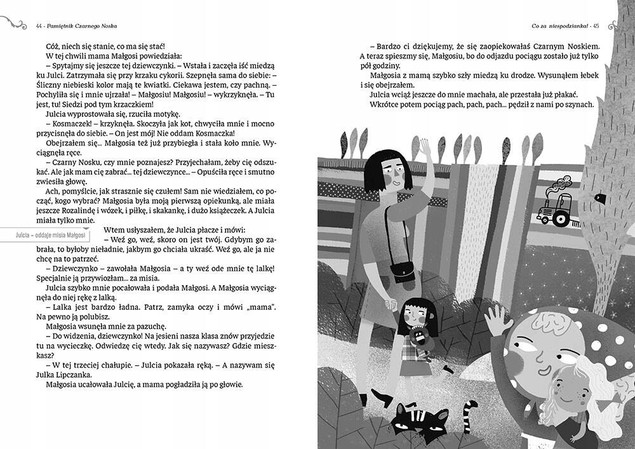 Pamiętnik Czarnego Noska