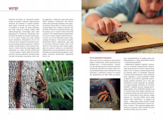 Zestaw książek o pająkach dla dzieci: Jaki to pająk? i Atlas hodowlany