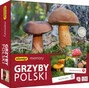 Grzyby Polski
