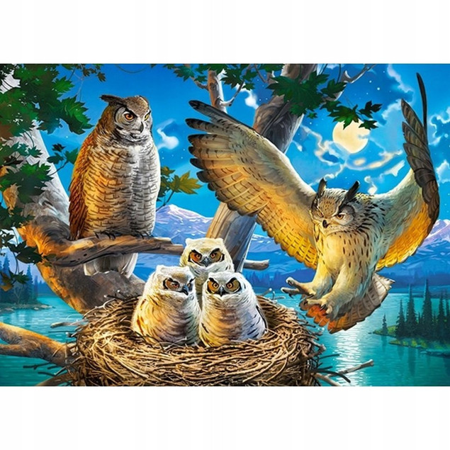 Puzzle 180 Układanka Ptaki SOWY Sówki Sowa Noc Widok 7+ Castorland