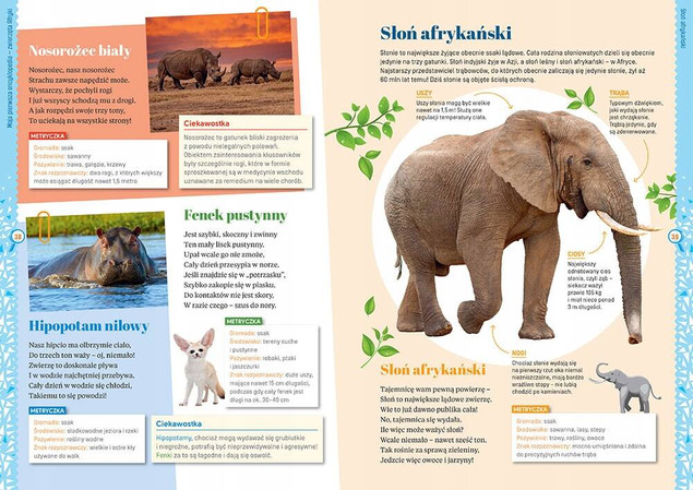 Moja Pierwsza Encyklopedia Zwierzęta - GREG