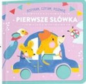 Dotykam czytam poznaję. Pierwsze słowa Praca zbiorowa