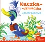 Kaczka dziwaczka