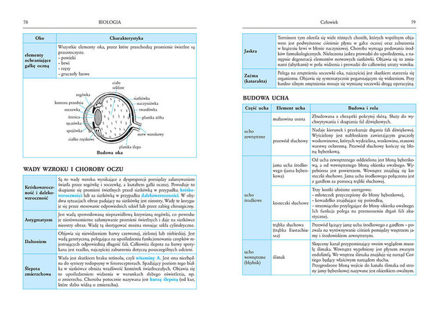 Tablice przedmiotowe: biologia + chemia Greg