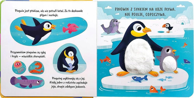 Książeczka sensoryczna Dotykam i poznaję w ZOO Aksjomat dla dzieci