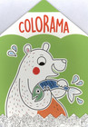 Colorama Niedźwiadek Praca zbiorowa