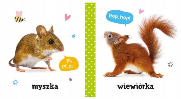 Pierwsze słowa i dźwięki. Zwierzęta