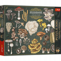 Puzzle 500 Finders Keepers: Grzyby – Ilustrowany Atlas Przyrody Premium