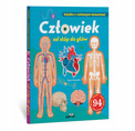 Człowiek od stóp do głów. Książka z ruchomymi elementami David Hawcock