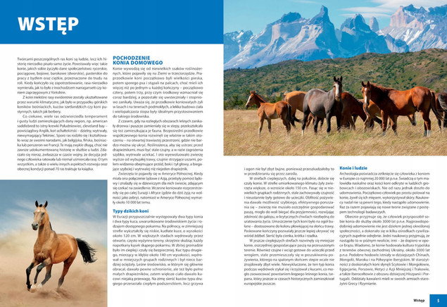 KONIE RASOWE Album Opisy Fotografie Patrycja Zarawska SBM